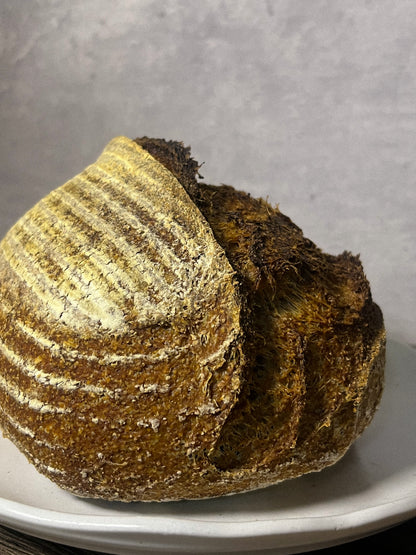 Whole Wheat Sourdough Bread